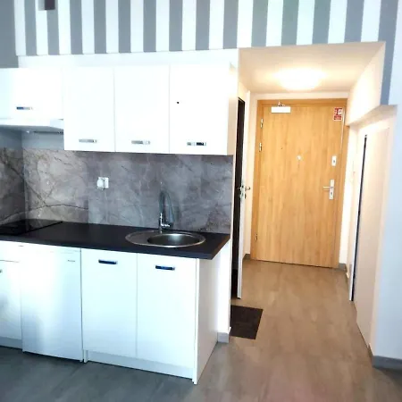 Z Antresolą I Balkonem Apartmán